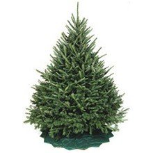 abete-natale.jpg