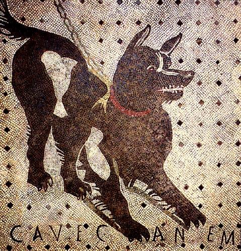 cavecanem.jpg