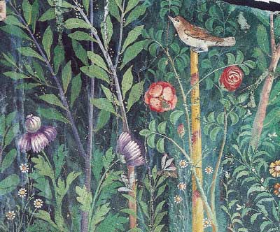olii_natura.jpg